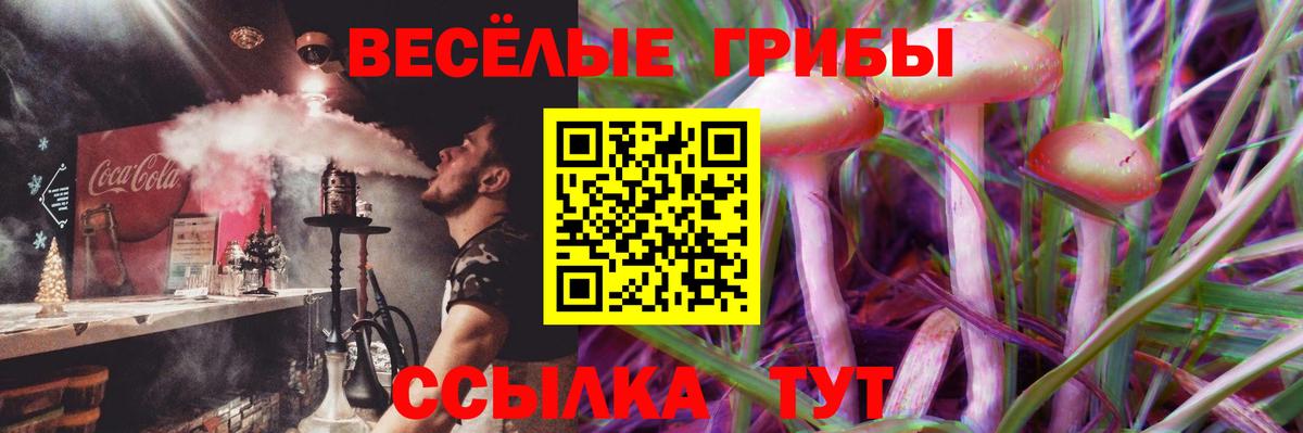 Чайковский  Галлюциногенные грибы GOLDEN TEACHER  Вход с VPN 